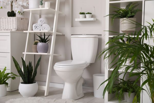 Cost of Toilet Repair in Phenix City