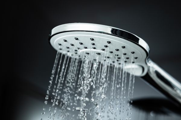 Cost of Shower Head Replacement in Phenix City