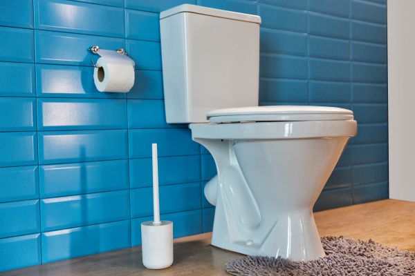Cost of Toilet Tank Repair in Phenix City