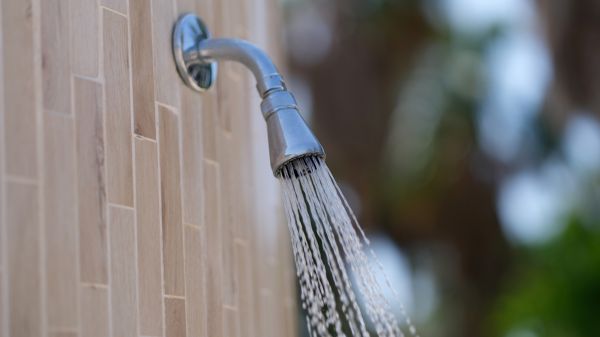 Cost of Showerhead Repair in Phenix City