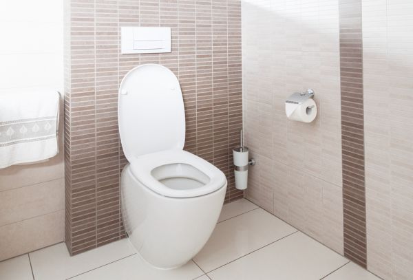 Cost of Toilet Plumbing Installation in Phenix City